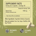 herbamama-mastic-gum-capsules-1400mg---g-3.jpg