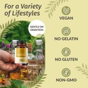herbamama-mastic-gum-capsules-1400mg---g-5.jpg