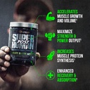 alpha-lion-superhuman-post-workout-recov-2.jpg