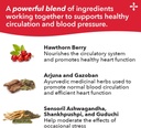 lifeseasons-bp-stabili-t---blood-pressur-4.jpg