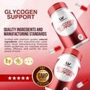 3-pack---glycogen-support-glycogen-contr-4.jpg