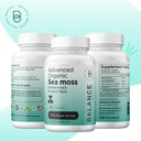 organic-irish-sea-moss-bladderwrack-burd-4.jpg