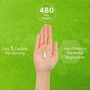2-pack-magnesium-glycinate-500mg-480-veg-5.jpg