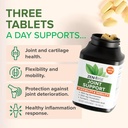 zenwise-health-joint-support-supplement--3.jpg