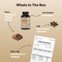 organic-himalayan-shilajit-resin-extract-5.jpg