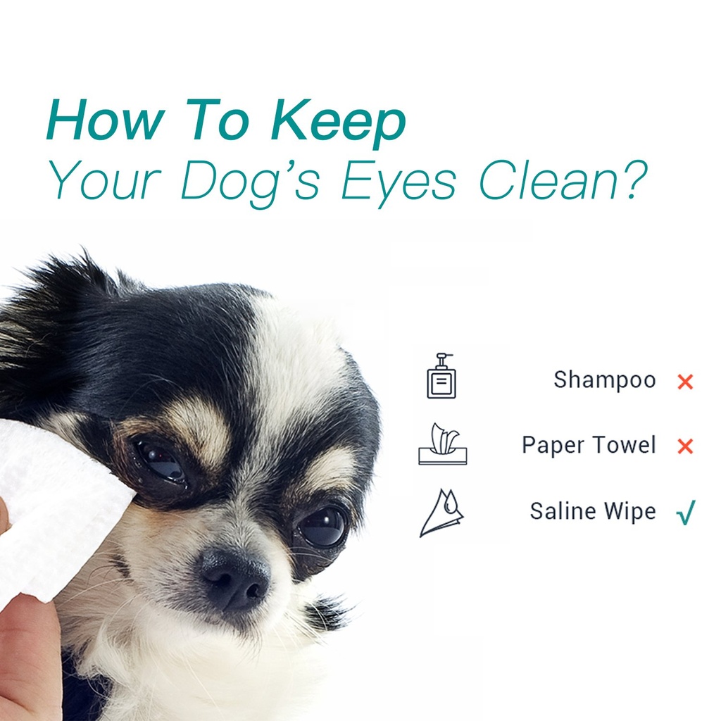 winner-sterile-saline-wipes-6-x-8-large--4.jpg