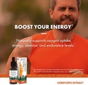 host-defense-cordyceps-extract---immune--5.jpg