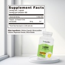 dynamic-duo-magicmag-kadsorb---magnesium-3.jpg