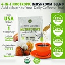 majus-mental-mushroom-powder-extract-str-2.jpg