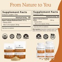 real-mushrooms-realboost-60ct-and-cordyc-6.jpg