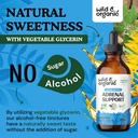 wild-organic-adrenal-support-drops-for-p-6.jpg