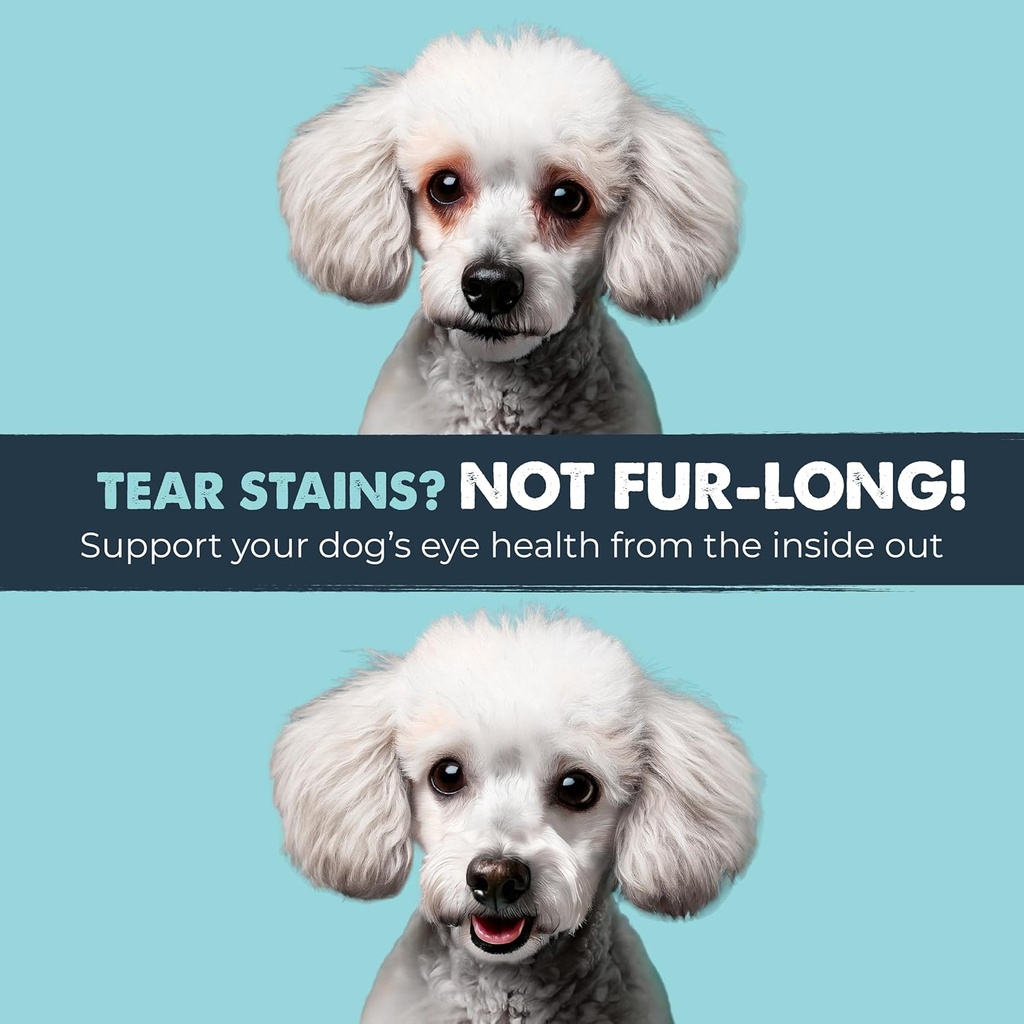 mighty-paw-waggables-eyes-made-in-usa-te-5.jpg