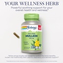 solaray-mullein-leaf-330-mg-and-hawthorn-4.jpg