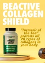 health-direct---beactive-collagen-shield-4.jpg