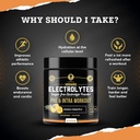 hrdwrk---100-servings-keto-electrolytes--4.jpg