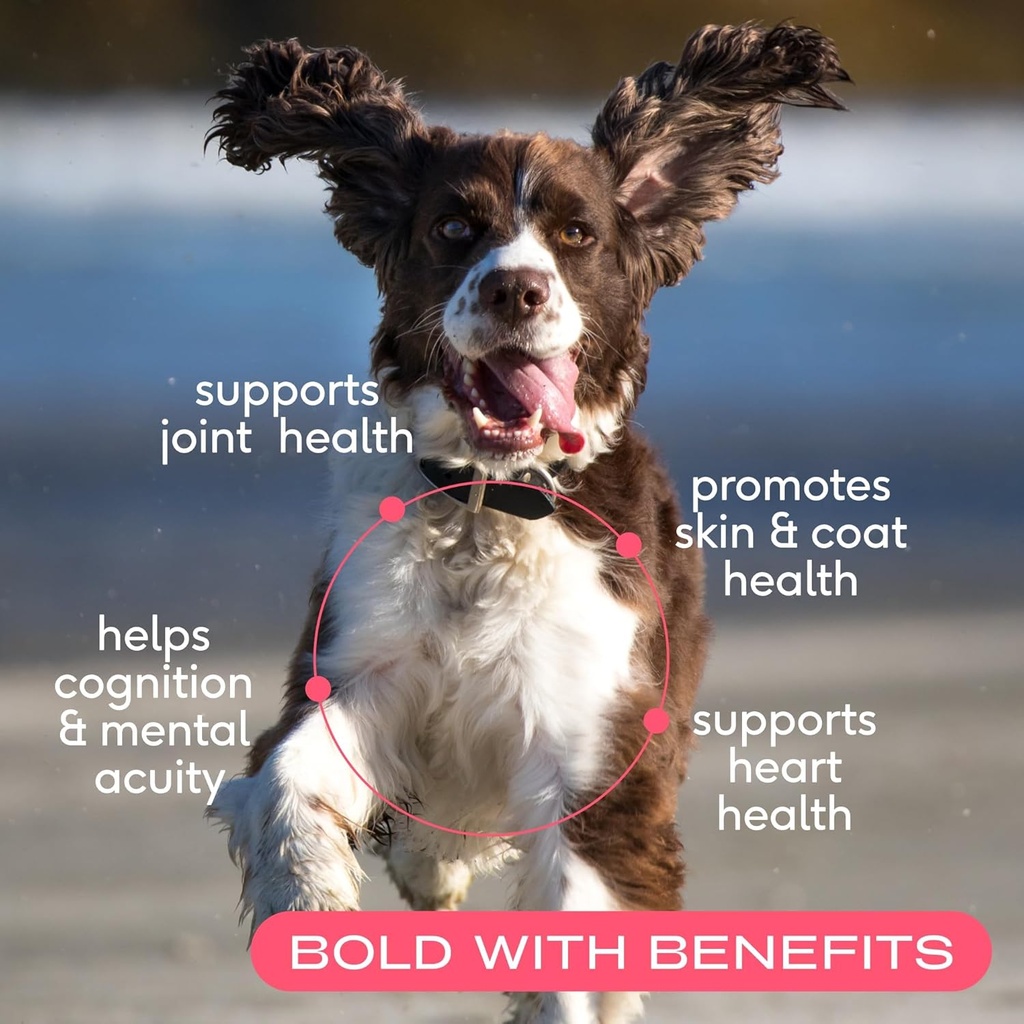 native-pet-salmon-oil-for-dogs-cats-pure-2.jpg