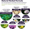 lemon-balm-mood-boost-drops-gotas-de-cit-4.jpg