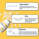 longevity-labs-spermidinelife-natural-su-2.jpg