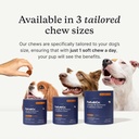 petlab-co-allergy-immune-daily-probiotic-4.jpg