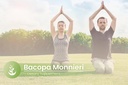 pure-original-ingredients-bacopa-monnier-5.jpg