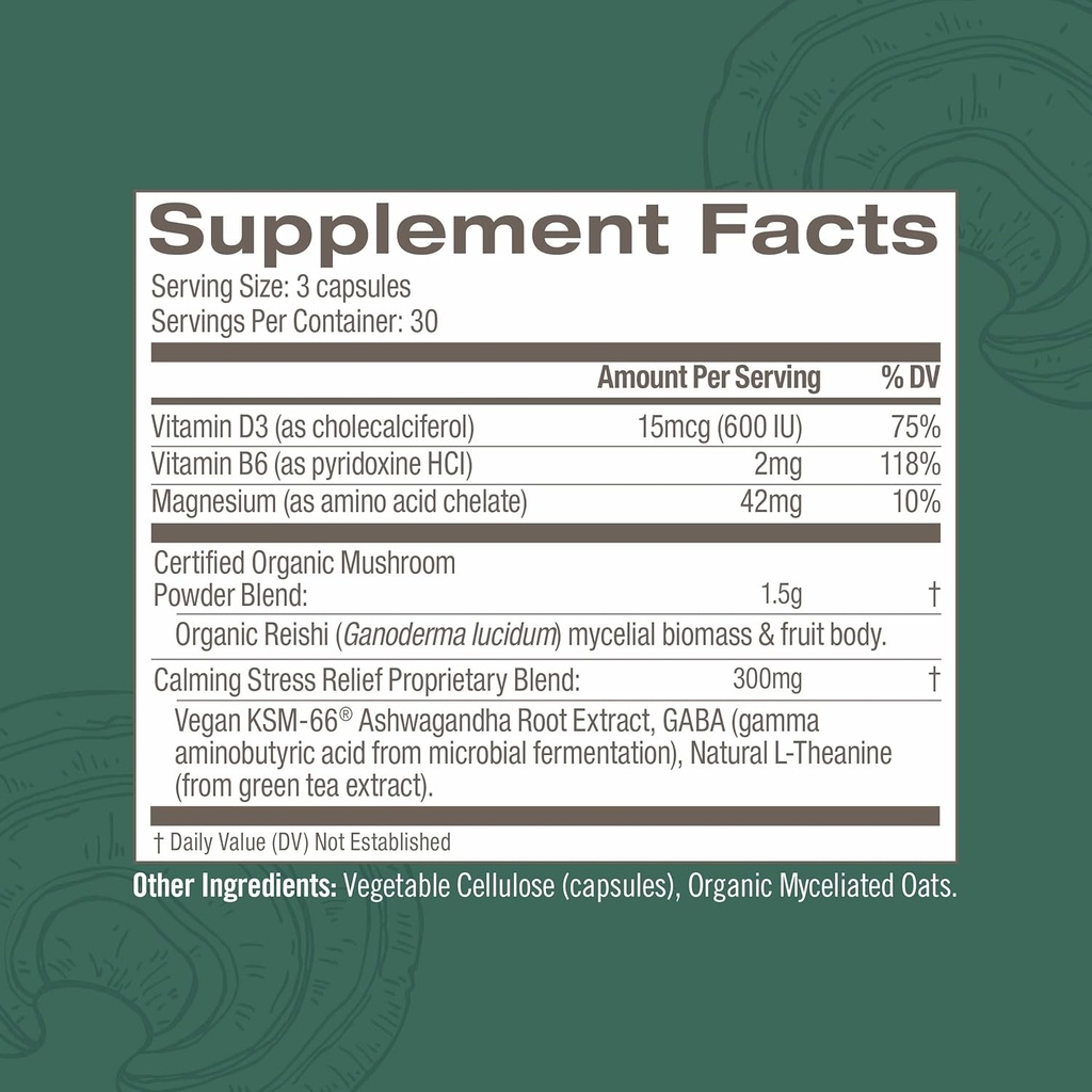 om-mushroom-superfood-zen-and-sleep-bund-4.jpg