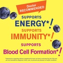 wellyeah-iron-gummies-with-vitamin-c--an-4.jpg