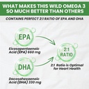 new-roots-herbal-wild-omega-3-fish-oil-s-3.jpg