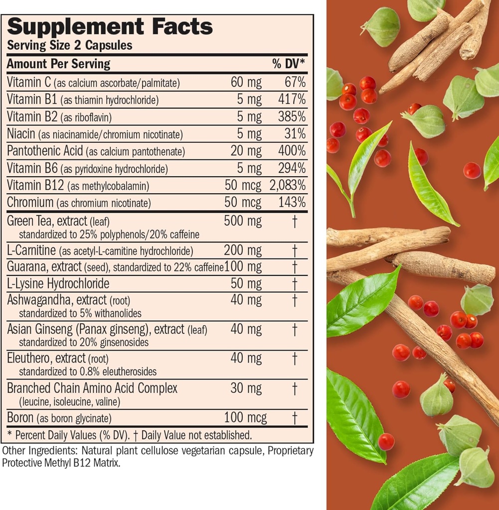 andrew-lessman-energy-and-fat-metabolism-2.jpg