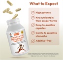 andrew-lessman-energy-and-fat-metabolism-4.jpg