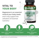 nutramedix-fitness-plan-supplement-bundl-5.jpg