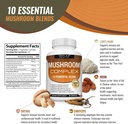 toplux-mushroom-supplement-lions-mane----4.jpg
