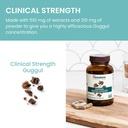 himalaya-guggul---herbal-liver-support-f-5.jpg
