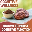 reishi-mushroom-capsules---180-count-red-3.jpg