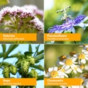 herb-pharm-relaxing-sleep-herbal-formula-6.jpg