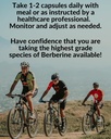 berberine-with-milk-thistle-500mg-formul-3.jpg