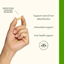 swanson-milk-thistle-standardized---herb-4.jpg