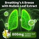 mullein-drops-for-lungs-16-in-1-mullein--4.jpg