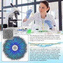 immune-perfecto---atomic-particle-trace--2.jpg