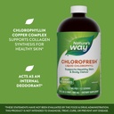 natures-way-chlorofresh-liquid-chlorophy-3.jpg