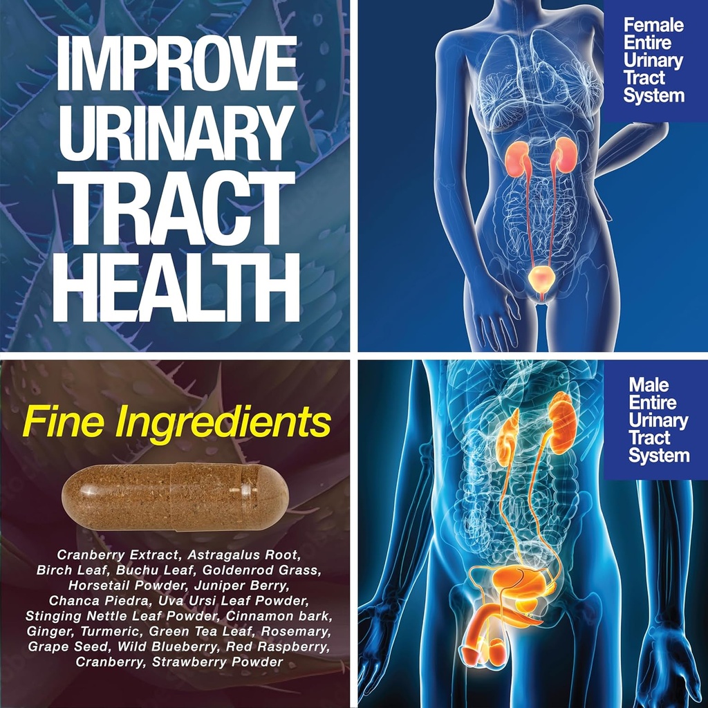 kidney-support-cleanse-detox-repair--120-6.jpg