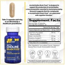 acetylcholine-brain-food---acetyl-l-carn-3.jpg