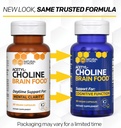 acetylcholine-brain-food---acetyl-l-carn-6.jpg