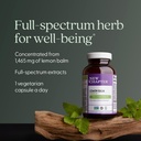 new-chapter-lemon-balm-force-with-superc-4.jpg