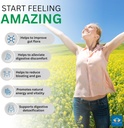 intestinepro---gut-health-supplement-wit-4.jpg