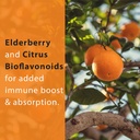 thomas-all-natural-remedies-vitamin-c-wi-3.jpg
