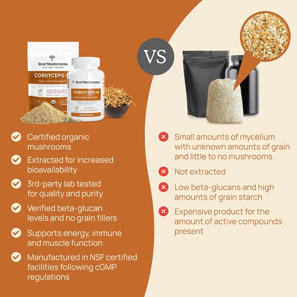 real-mushroom-cordyceps-mushroom-powder--5.jpg