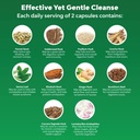 colon-cleanser-detox---lactobacillus-aci-4.jpg