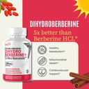 natures-fusions-dihydroberberine-200mg-6-2.jpg