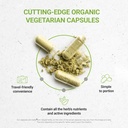 secrets-of-the-tribe-cilantro-120-capsul-2.jpg