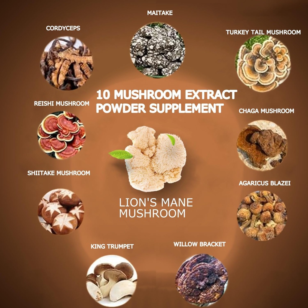 mushroom-coffee-10-mushroom-extract-powd-2.jpg